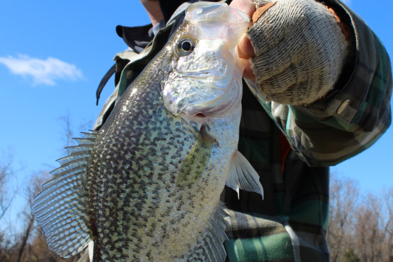 crappie fishing in winter