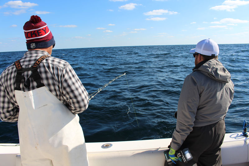 tip rod for daytime swordfish fishing