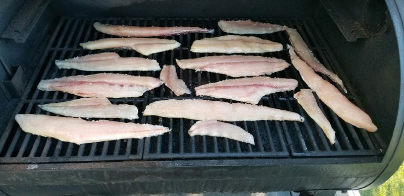 filleted fish ready to cook