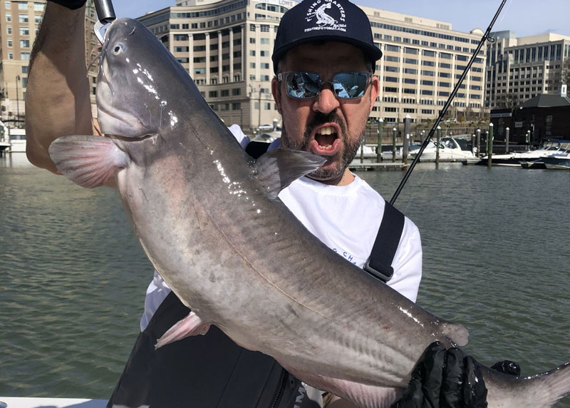 captain tim of fish the potomac with a blue catfish