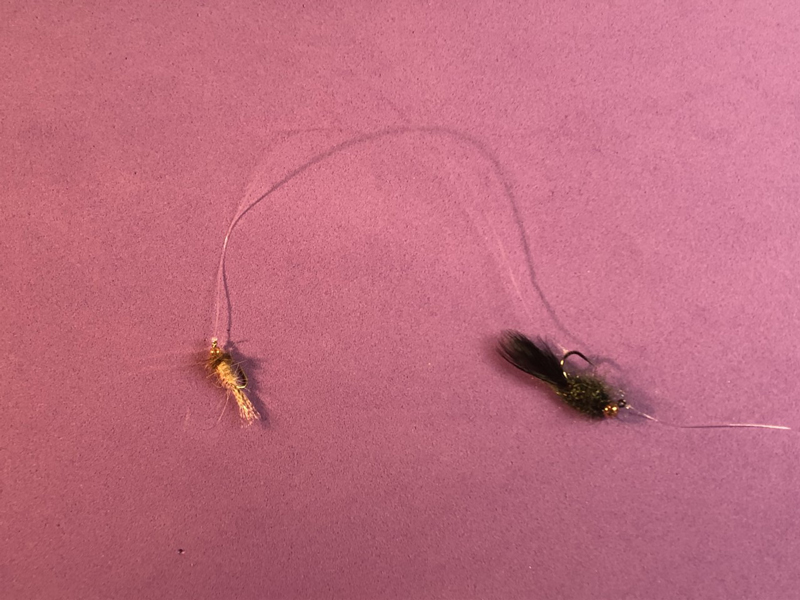 nymph and fly rig