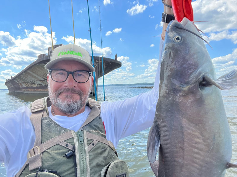 blue catfish in mallows bay