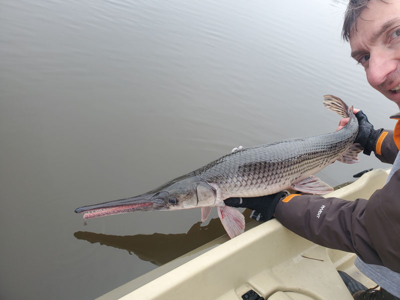 angler with a gar