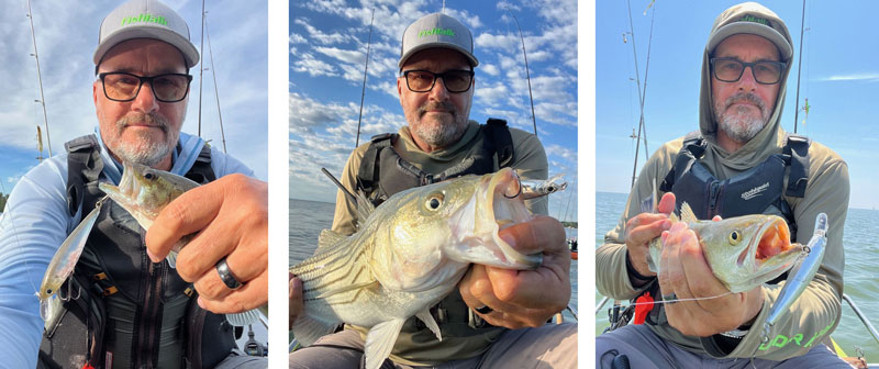 jerkbaits for striped bass speckled trout and largemouth bass