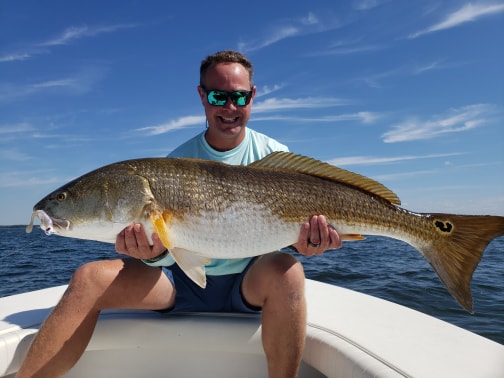 big red drum caught on chesapeake bay