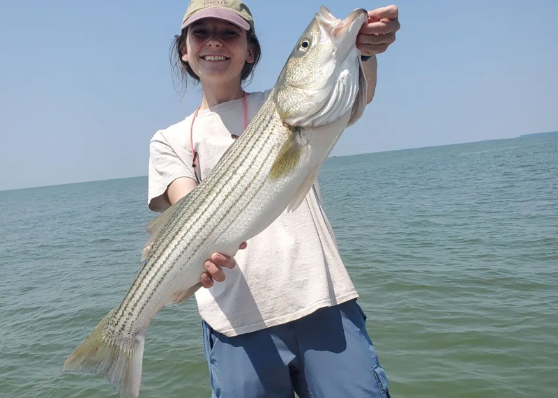 big over slot rockfish