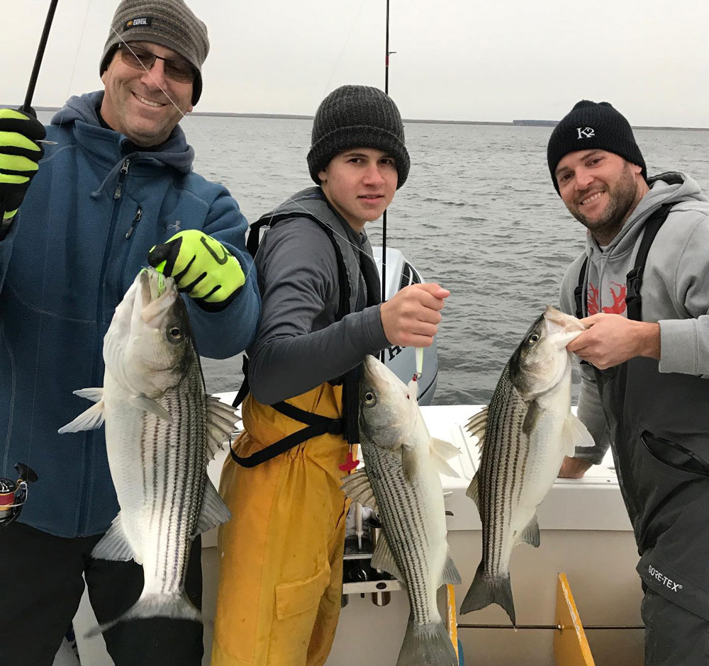striped bass in the middle chesapeake
