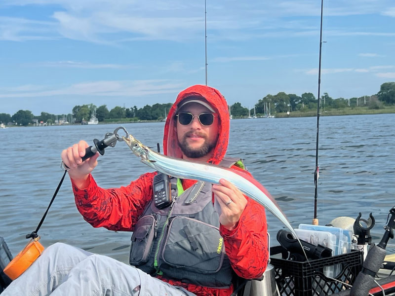 cutlassfish from a kayak