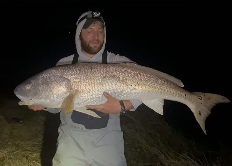 bull redfish caught from shore at night