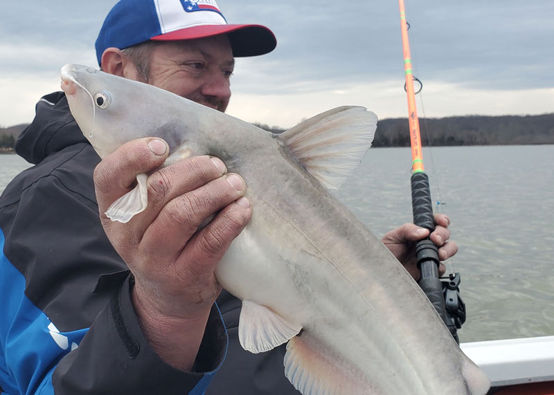 catfish fishing on the potomac with cat slayer rods