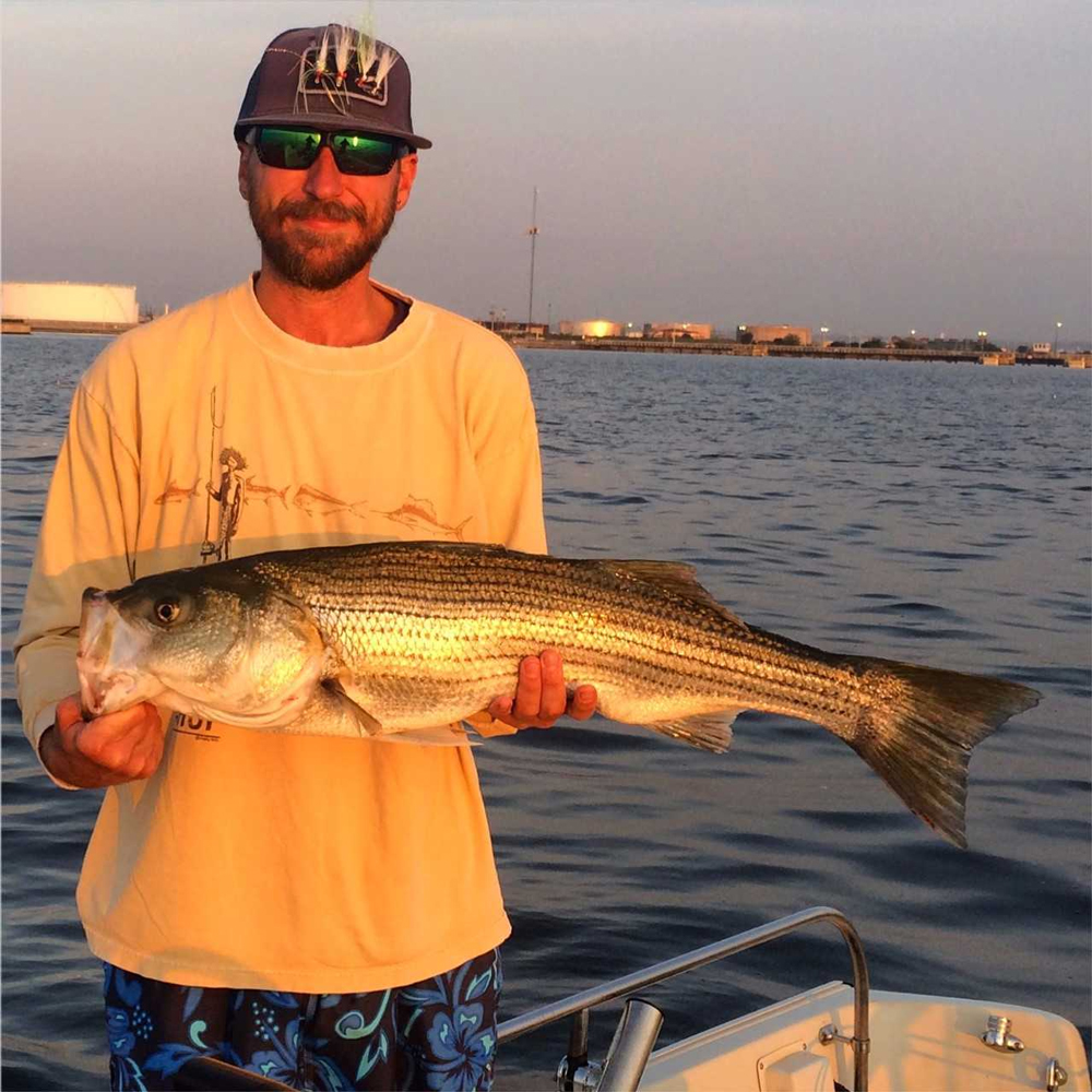 striped bass at patapsco river