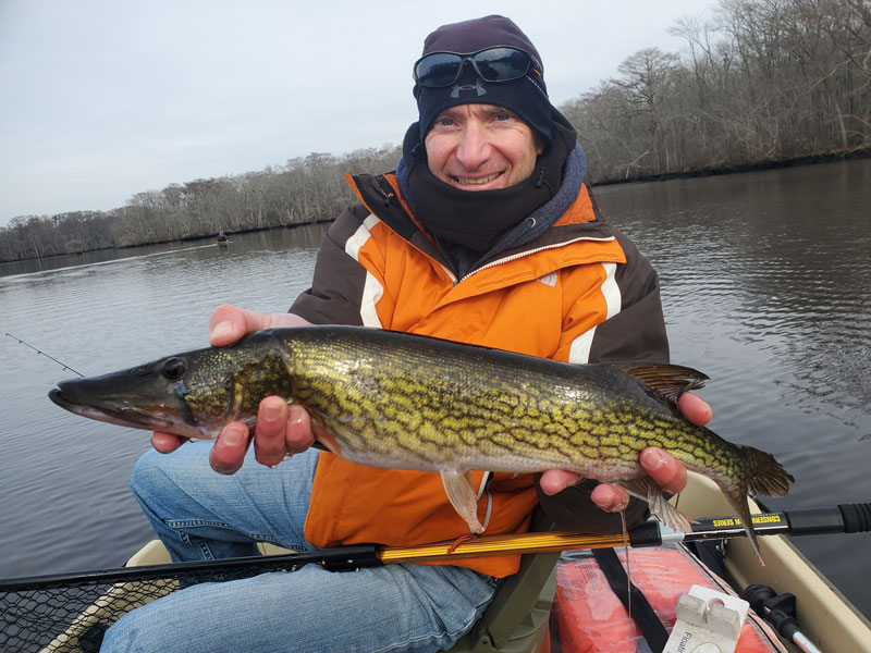 angler holding a pickerel fish he caught