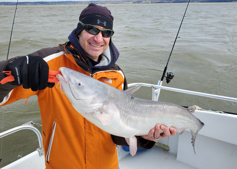 potomac river blue catfish