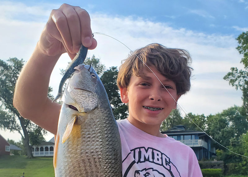 redfish caught on gulp lure