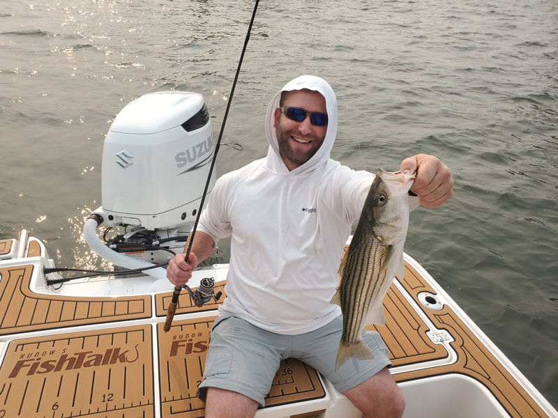 rock fish in the chesapeake