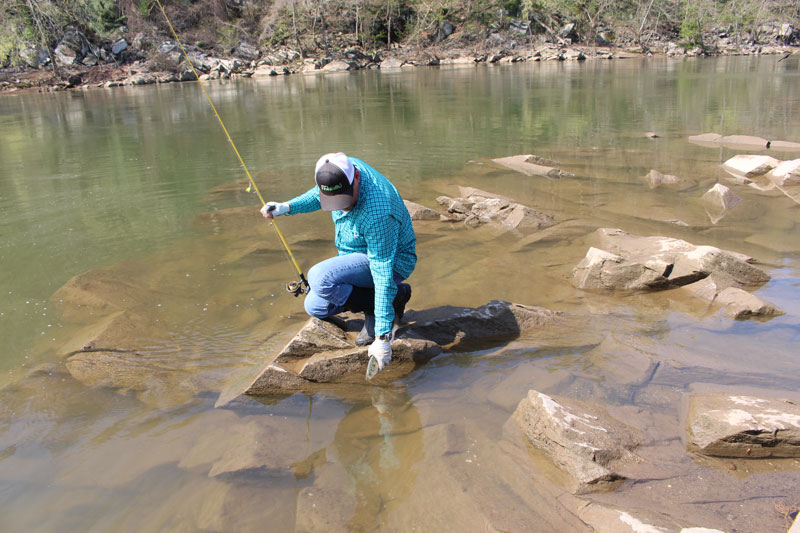 angler fishing for shad with a fishing rod