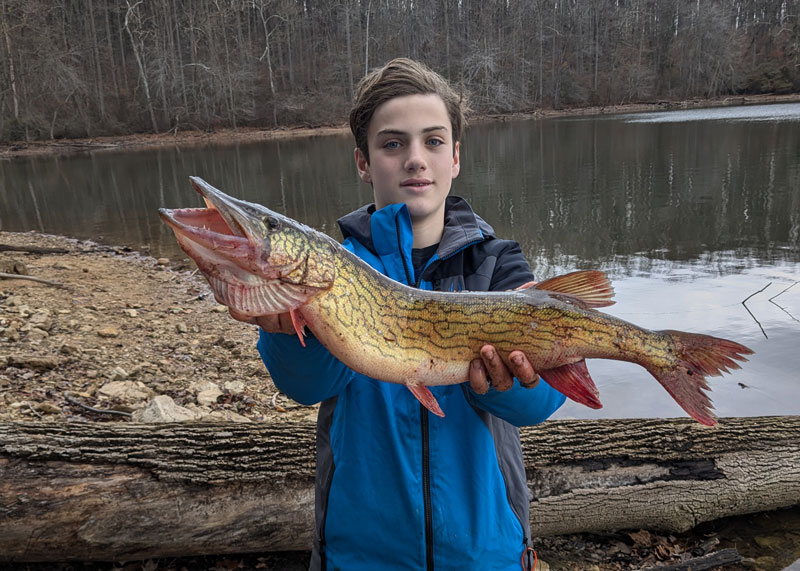 kid fishing from shore with a huge fish