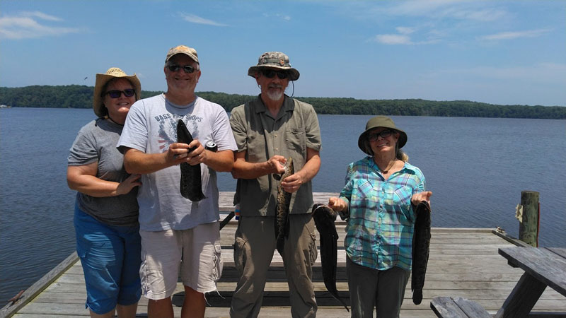 fishing for northern snakeheads