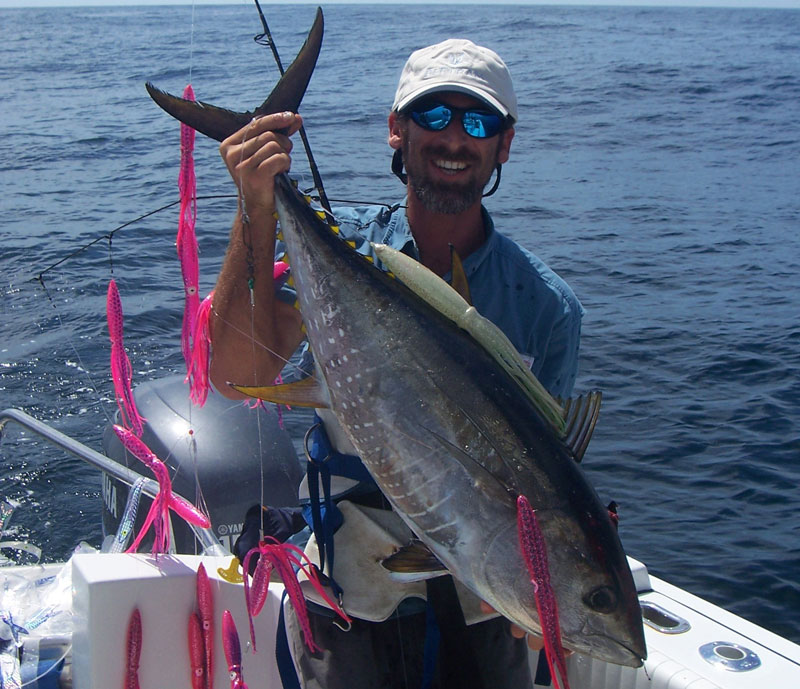 trolling a spreader bar for tuna