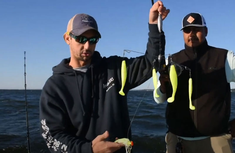 umbrella lure for striped bass trolling