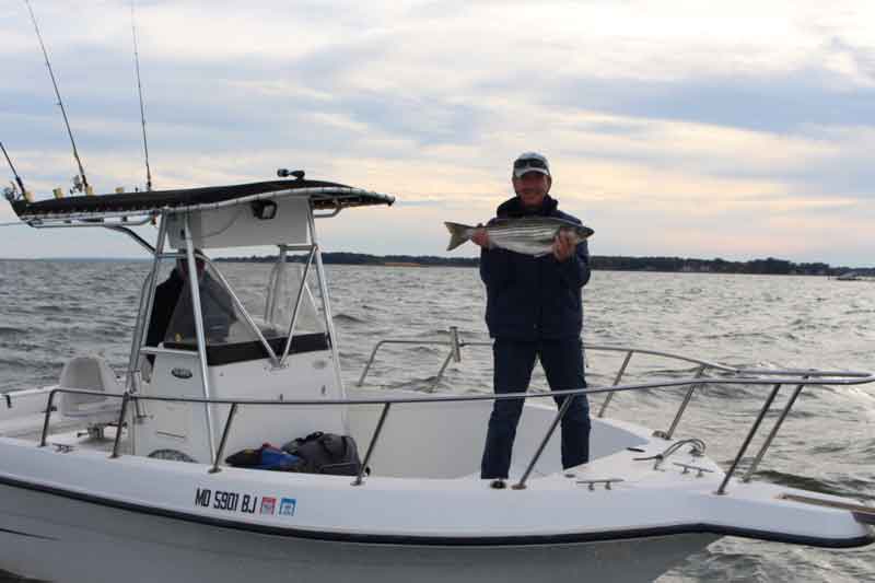 striper caught on a boat