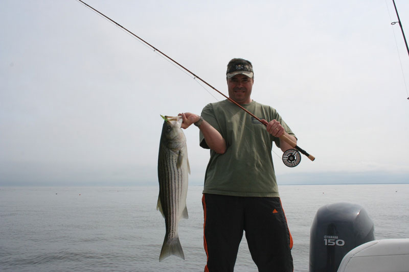 fly fisherman with a rockfish