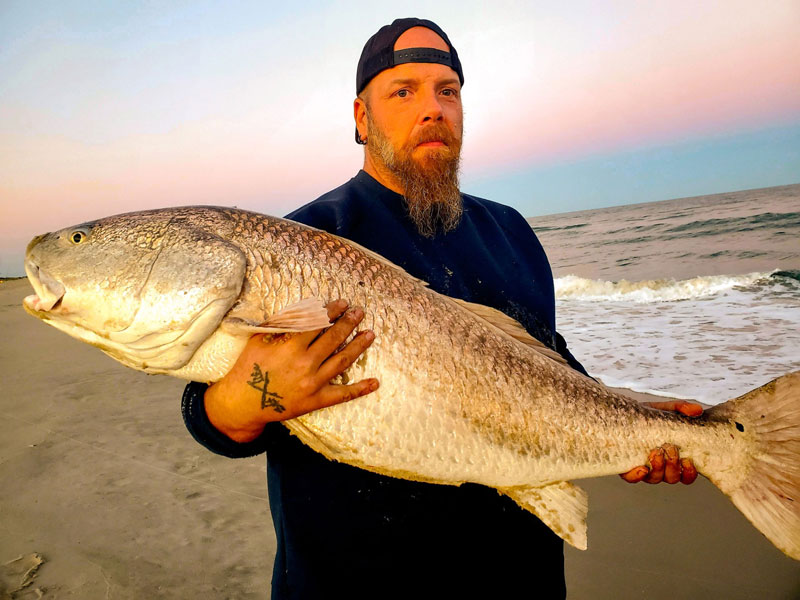 big red drum caught surf fishing at assateague