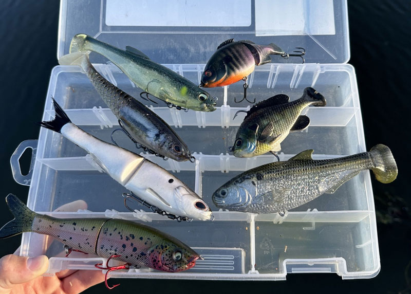 a selection of swimbait lures