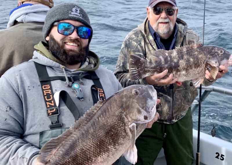 anglers hold up tautog they caught