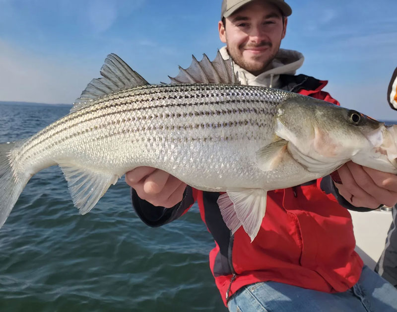 fall trolling for stripers