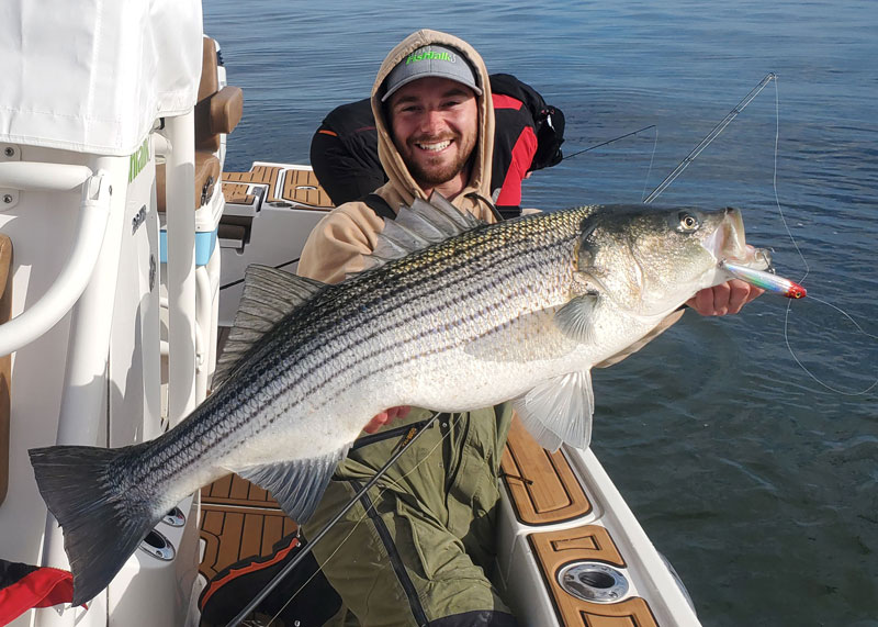trophy striped bass caught on topwater
