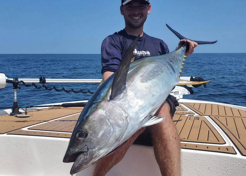 yellowfin tuna caught on topwater lure
