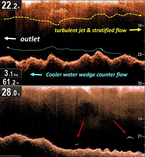 warm water discharge flow at calvert cliffs