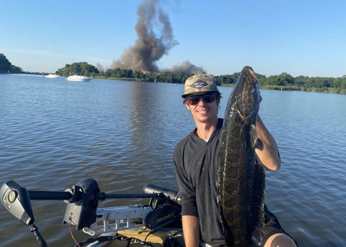 cool snakehead pic