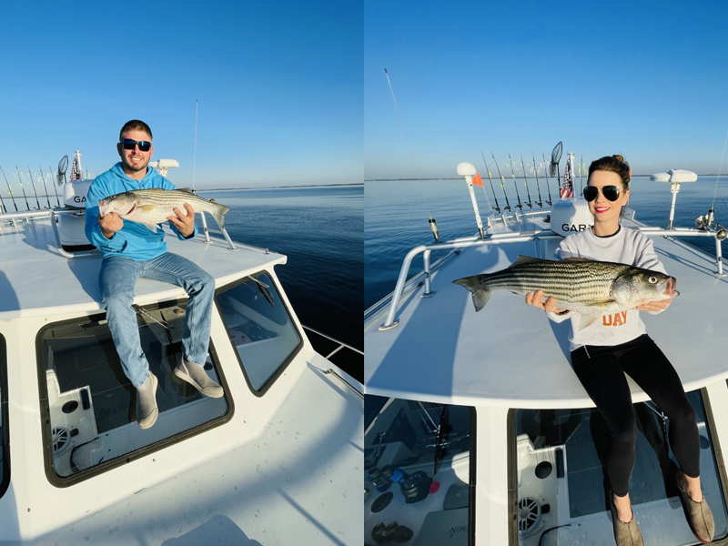 upper chesapeake striped bass