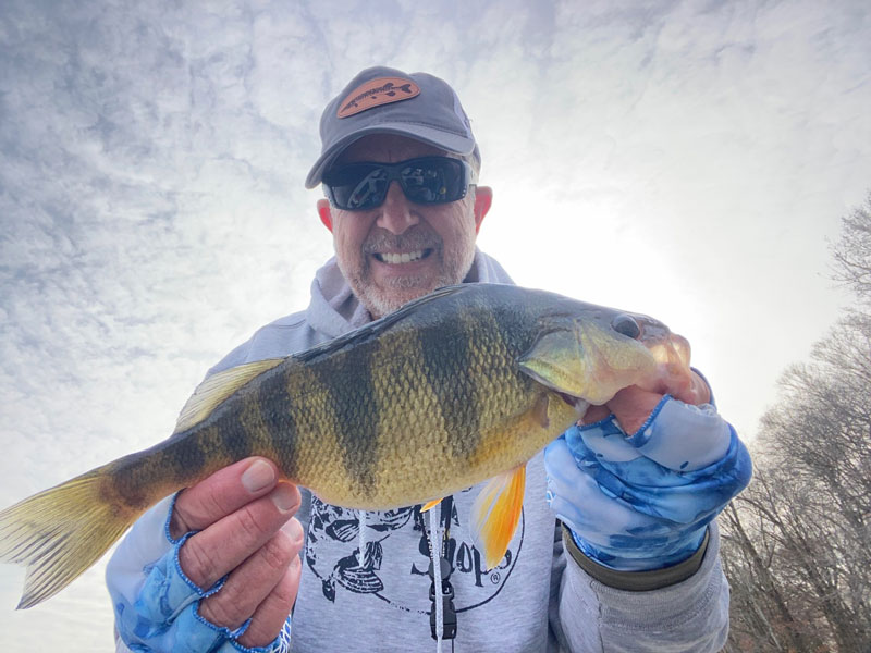 angler holding up a yellow perch