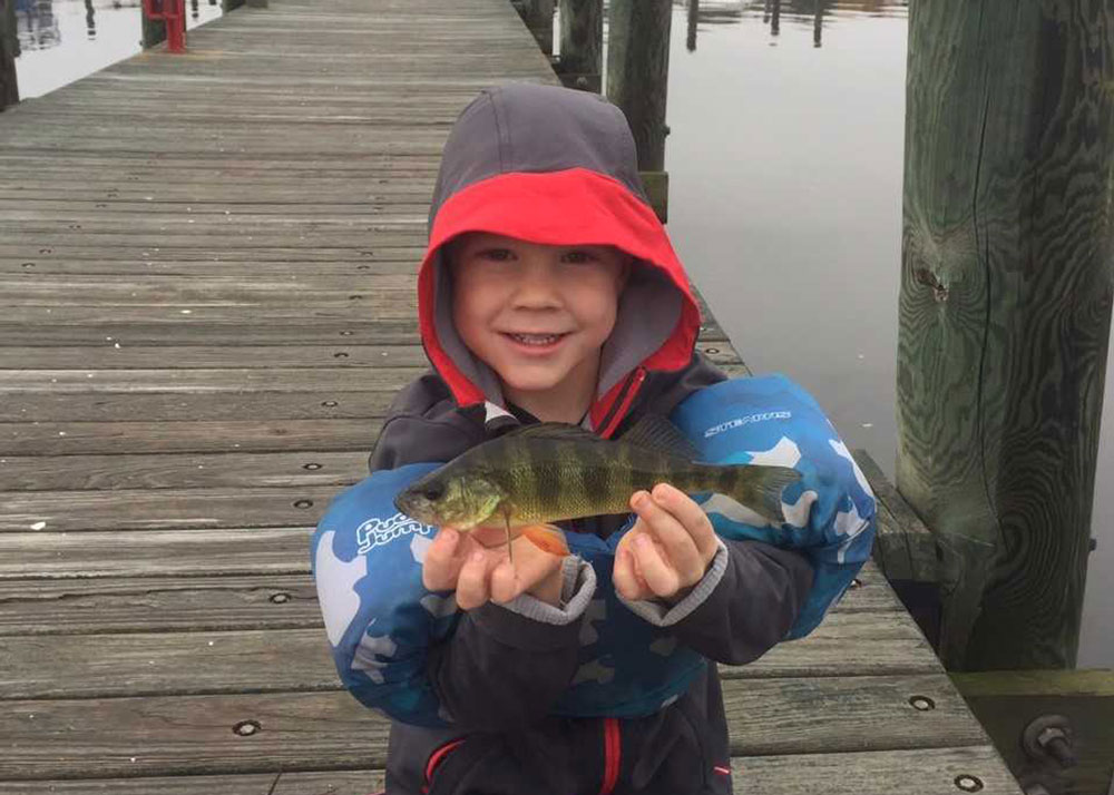 back rive yellow perch